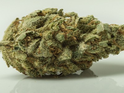 Where to buy Sour Diesel Strain